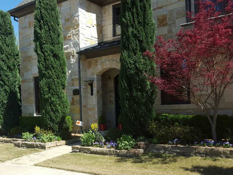 AH-LANDSCAPING-112244-1 Cypress and Maple