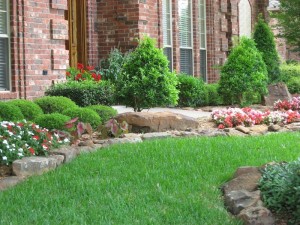 Lawn & Garden 11 Lawn Care