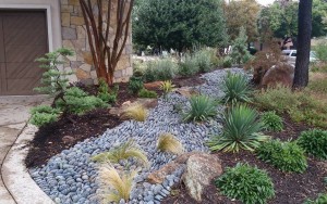 Xeriscapes